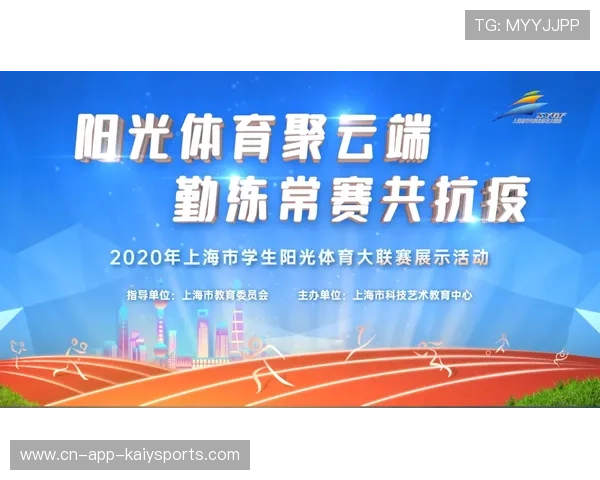 职业联赛的赞助商权益最大化实施方案制定与分析